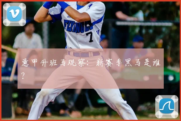 意甲升班马观察:新赛季黑马是谁?