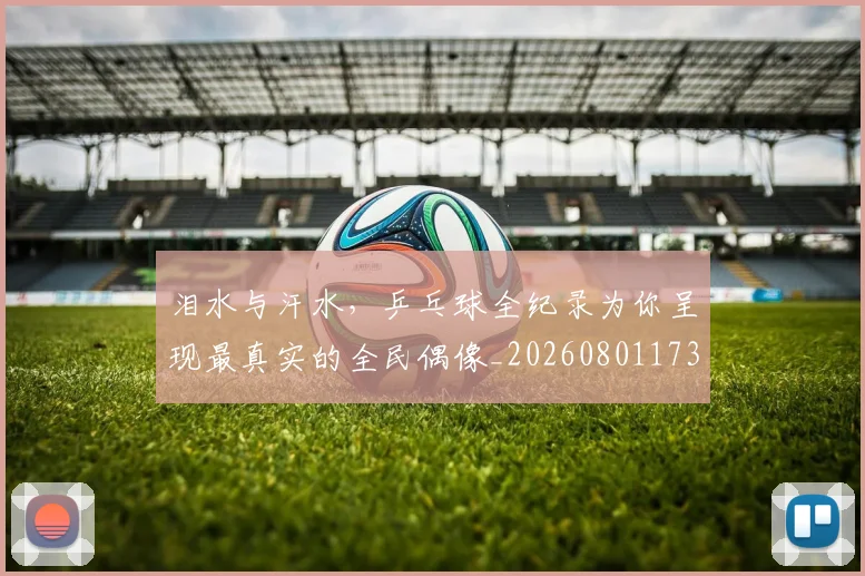 泪水与汗水,乒乓球全纪录为你呈现最真实的全民偶像_20260801173702