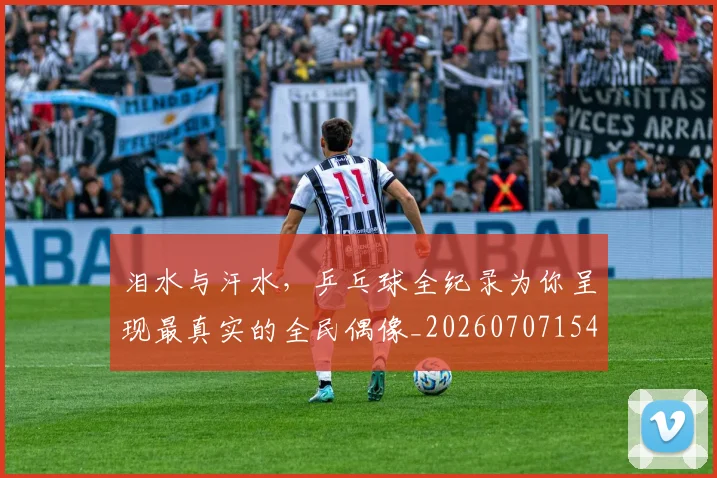 泪水与汗水，乒乓球全纪录为你呈现最真实的全民偶像_20260707154229