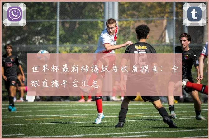 世界杯最新转播权与收看指南：全球直播平台汇总