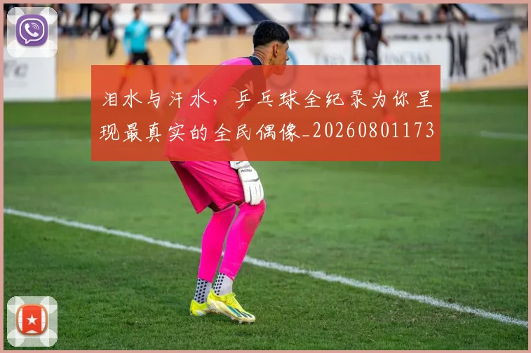 泪水与汗水,乒乓球全纪录为你呈现最真实的全民偶像_20260801173702